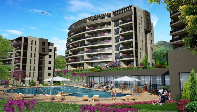 Deniz-Kabuğu-Evleri-Genel-10