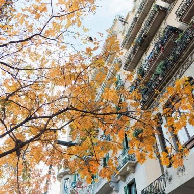 Asuas_March49_Genel_13